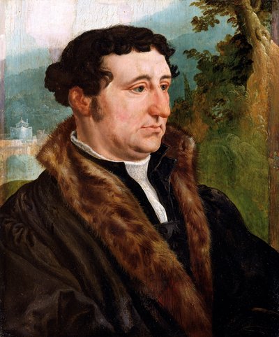 男性の肖像」1540年 作： Maerten van Heemskerck