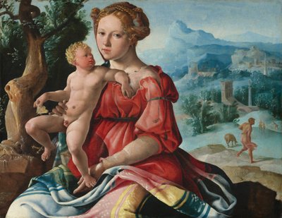  作： Maerten van Heemskerck