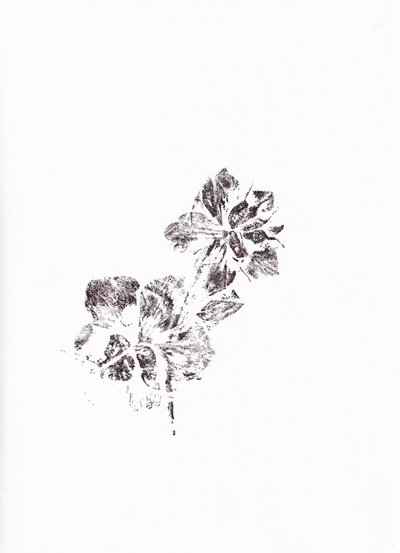 抽象的な花の模様 作： Maira Ribena
