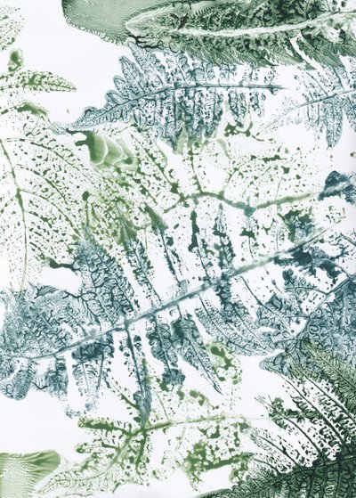 植物のシダをモチーフにした作品 作： Maira Ribena