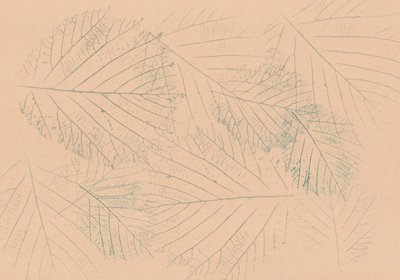 植物の葉の模様 作： Maira Ribena
