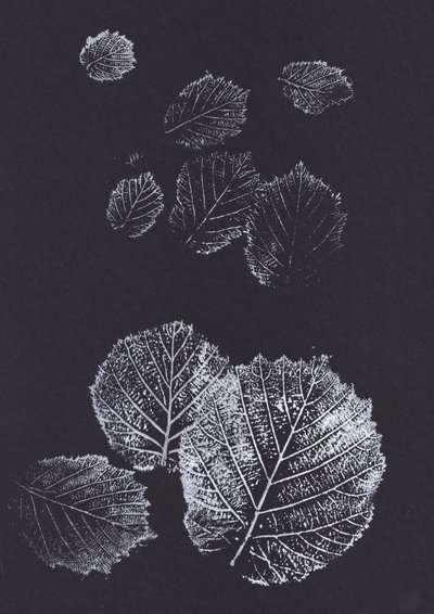 植物の葉のプリント 作： Maira Ribena
