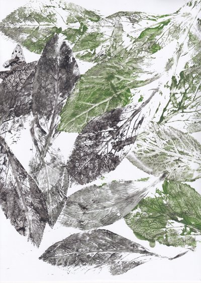 植物の葉のプリント 作： Maira Ribena