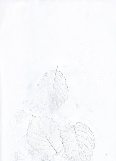 幻想的な白い葉 作： Maira Ribena