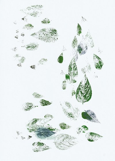 舞い落ちる緑の葉 作： Maira Ribena