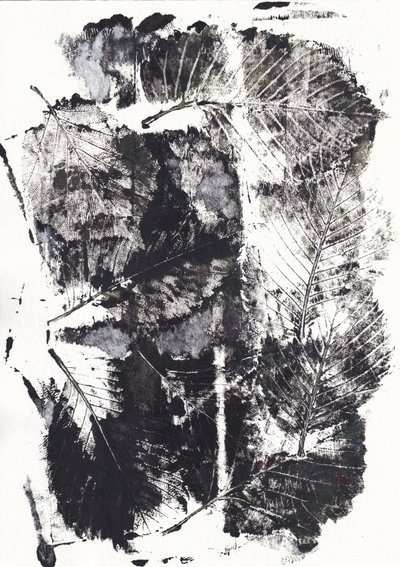 モノクロの植物画 作： Maira Ribena