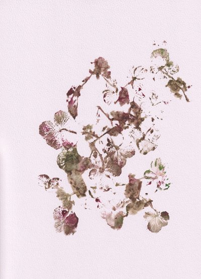 控えめな植物の印象 作： 
