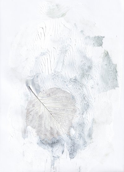 ほのかな植物の趣 作： Maira Ribena