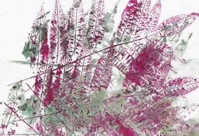 鮮やかな植物のシダ 作： Maira Ribena