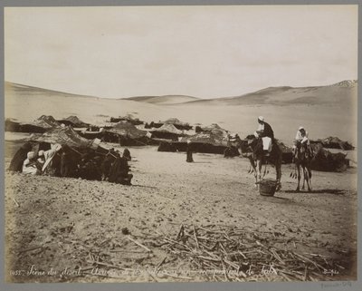 （おそらく）エジプトの砂漠にあるテントとラクダの野営地 砂漠のシーン: Arrivée de chameliers à un campement de tribu. (アイテムのタイトル) 作： Maison Bonfils