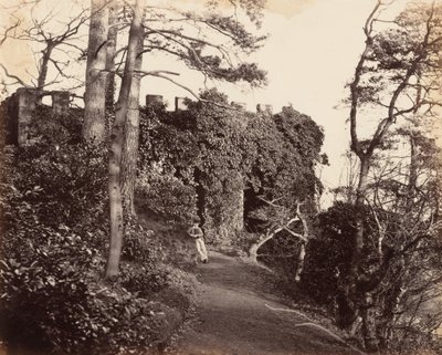 1860年代、セヴァンのウィンターダインにて（写真） 作： フランシス・グレズリー少佐
