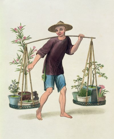 果樹と花のポーター、「中国のコスチューム」のプレート16、J。ダドリーによって彫刻、1800 作： Major George Henry Mason