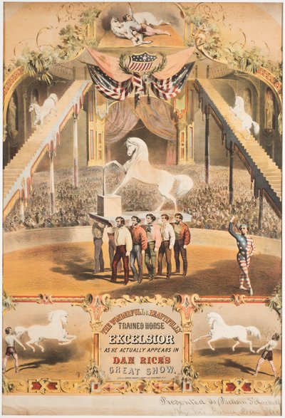 ワンダーフルで美しく訓練されたエクセルシオール、1840年頃（クロモリト） 作： Major and Knapp Sarony