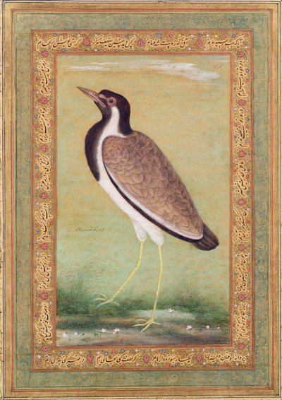 インドのラップウィング、1800年頃 作： Mansur