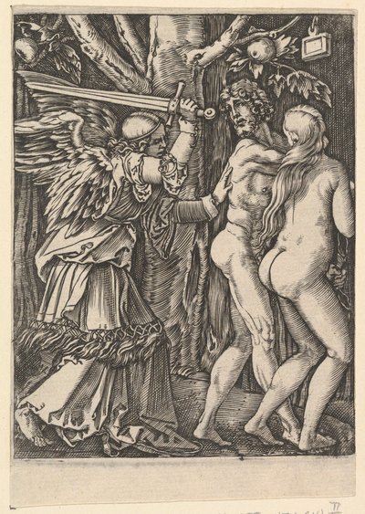 パラダイスからの追放、デューラー後、約。 1500-1534。 作： Marcantonio Raimondi