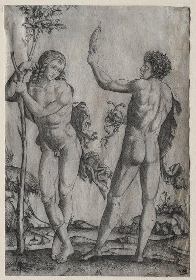 木のそばにいる 2 人の裸の男性 作： Marcantonio Raimondi