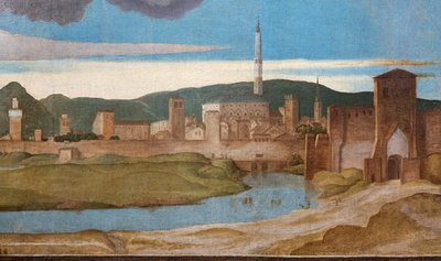 ヴィチェンツァ市の詳細 作： Marcello Fogolino