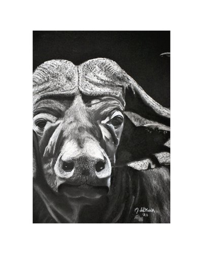  作： Marchelle de Kock