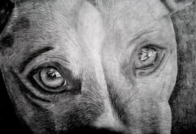  作： Marchelle de Kock