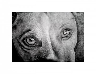  作： Marchelle de Kock