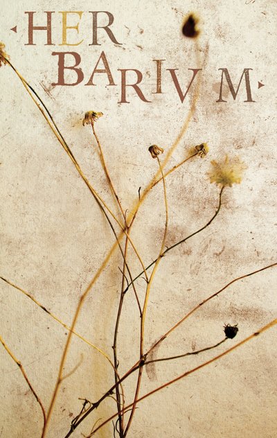 ハーバリウム、2014年（ミクストメディア） 作： Marco Campedelli