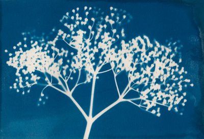 レターズ、2014年（紙に木版印刷） 作： Marco Campedelli