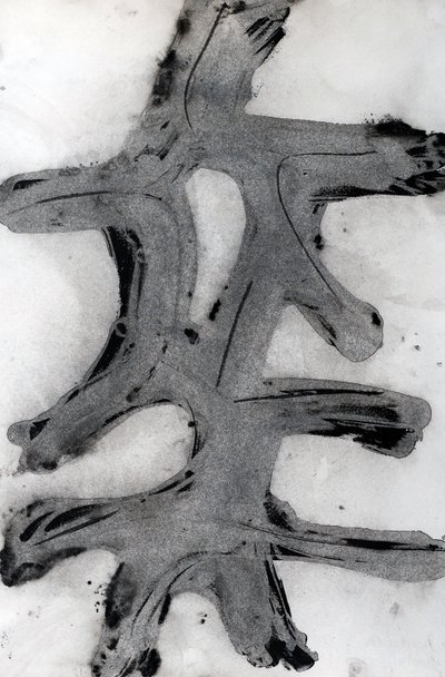 ラマ、2014年（紙にインク） 作： Marco Campedelli