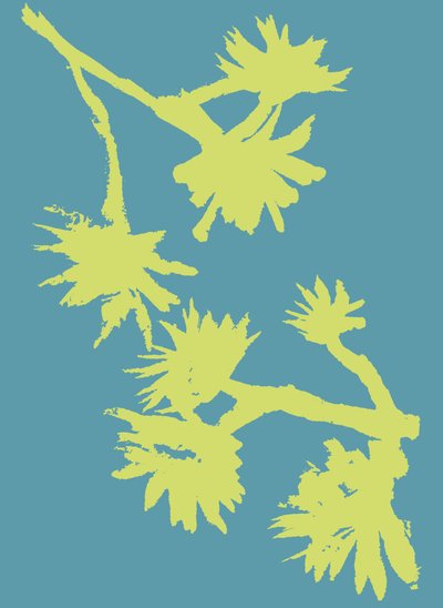 Succulent_2, 2022（紙にインク） 作： Marco Campedelli