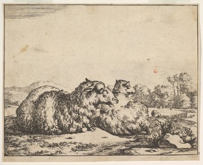 1664年、16枚のプレートからなる「羊」。 作： Marcus de Bye