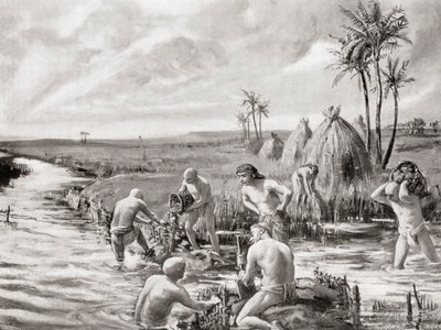 バビロニアでダムを建設して沼地の排水を行った初期の入植者たち（Hutchinson