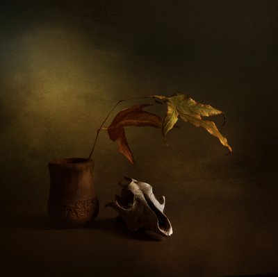 暗い秋の静物画 作： Margaret Halaby