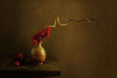 ダーク・ボタニカル・スティルライフ 作： Margaret Halaby