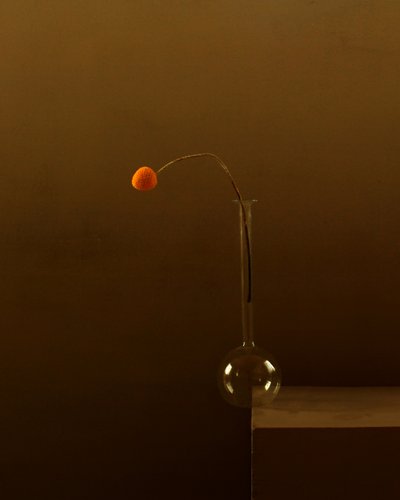  作： Margaret Halaby