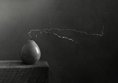 モノクロの洋梨と枝 作： Margaret Halaby