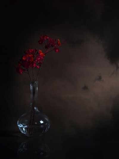 ムーディな赤い花 作： Margaret Halaby