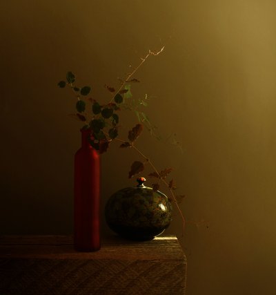 赤い瓶の暗い静物画 作： Margaret Halaby