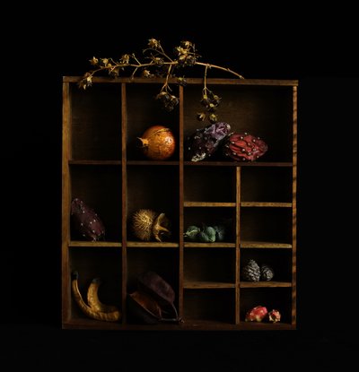 素朴な植物の静物画 作： Margaret Halaby