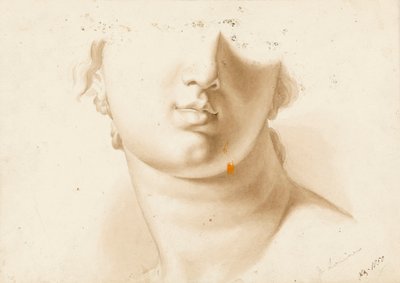 彫像と思われる人物の顔の下半分の研究 作： Margaret Louisa Herschel