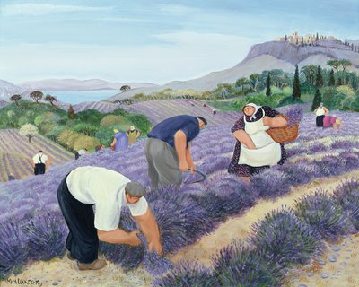 ラベンダー 作： Margaret Loxton