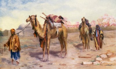 ダマスカス郊外のラクダと運転手（カラーリトグラフ） 作： Margaret Thomas