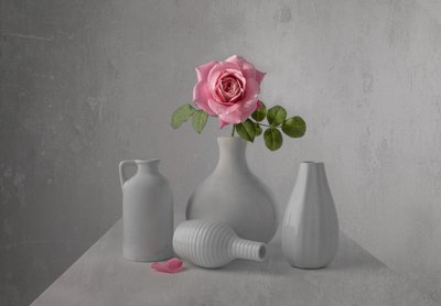 繊細なピンクのバラの静物画 作： Margareth Perfoncio