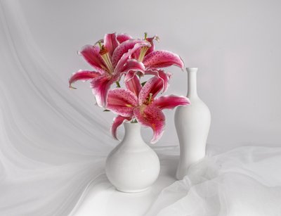ピンクのユリと白い花瓶 作： Margareth Perfoncio