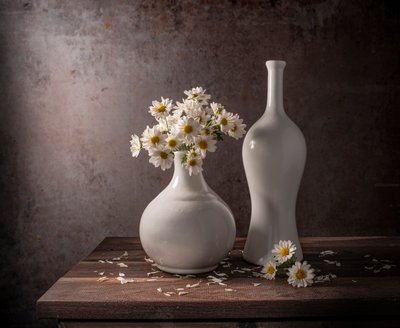 白いデイジーの静物画 作： Margareth Perfoncio