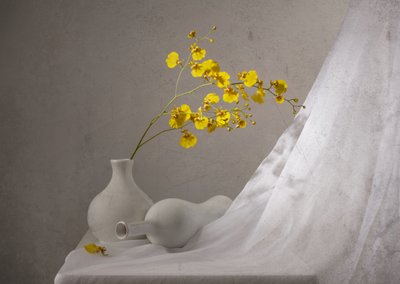 黄色い蘭の静物画 作： Margareth Perfoncio