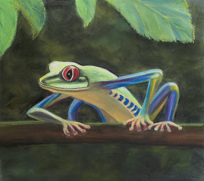 アマガエル、2020年（パステル） 作： Margo Starkey