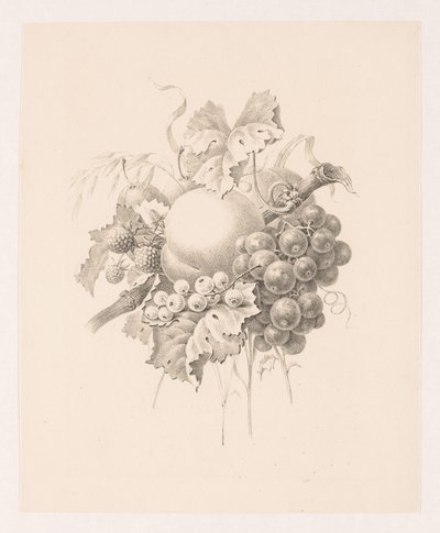 果実の組成 作： Maria Geertruida de Goeje Barbiers (attributed to)