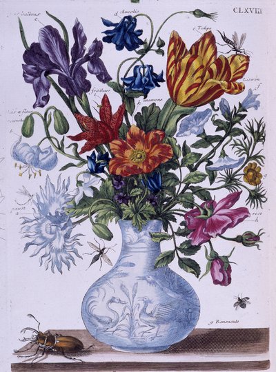 カブトムシと様々な花 - マリア・シビラ・メリアン作 n.d. およそ18世紀後半 作： Maria Sibylla Merian