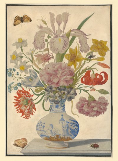  作： Maria Sibylla Merian