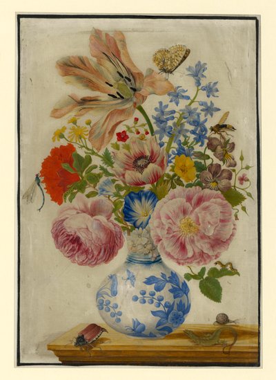  作： Maria Sibylla Merian
