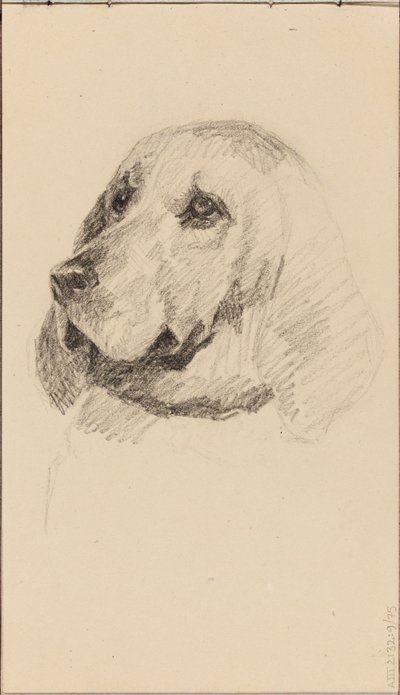 犬の頭部 作： マリア・ウィーク